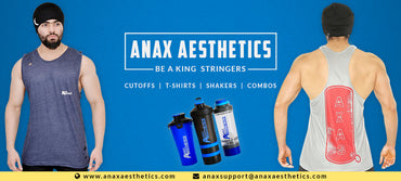 Introduction to Anax Aesthetics